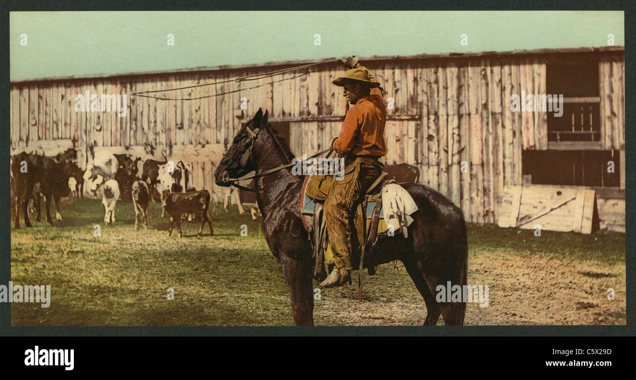 Cowboy gettando un lazo - Vecchie foto colorate, circa 1898 Foto Stock
