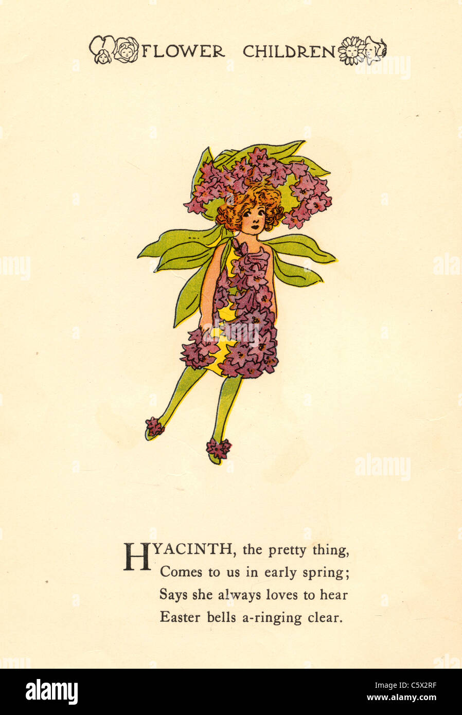 Giacinto - Flower bambino Illustrazione da un antiquario prenota Foto Stock