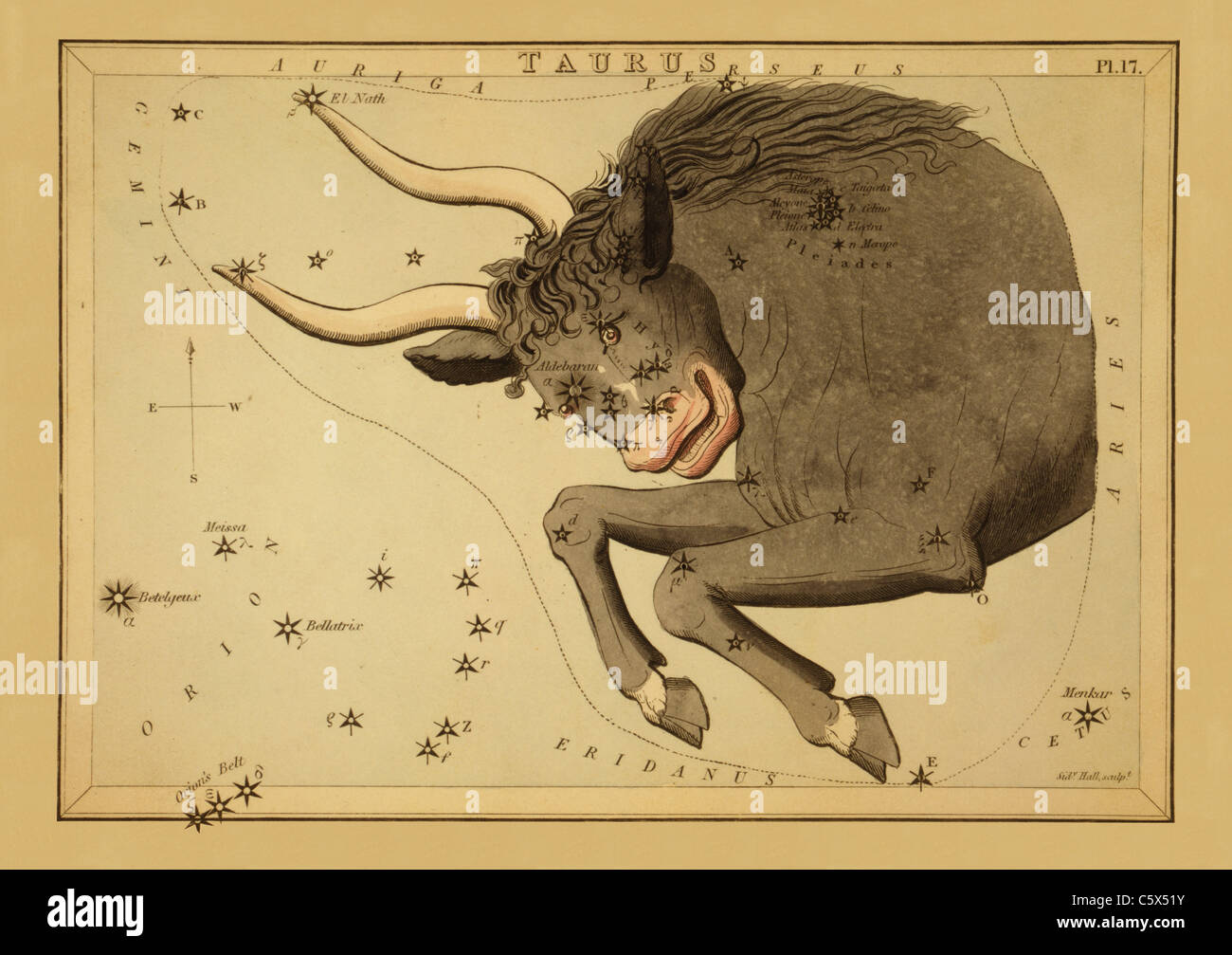 Taurus - 1825 Grafico astronomico Foto Stock
