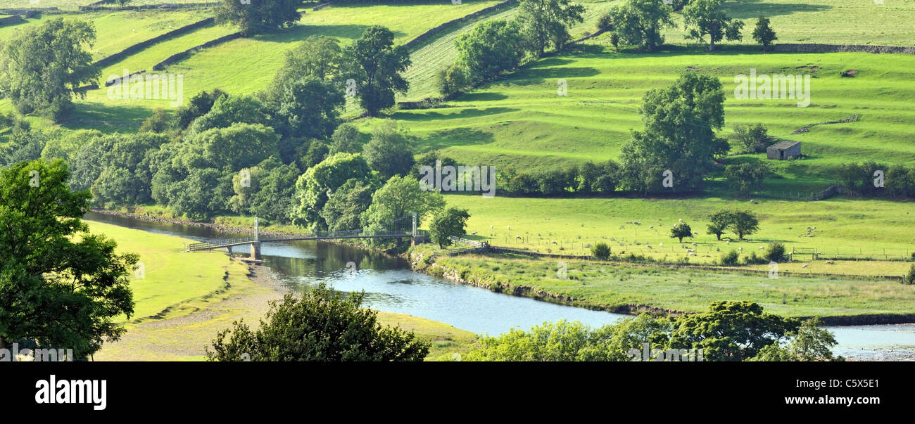 Campo medievale patterns nei pressi di Reeth, Swaledale, nello Yorkshire, Inghilterra Foto Stock