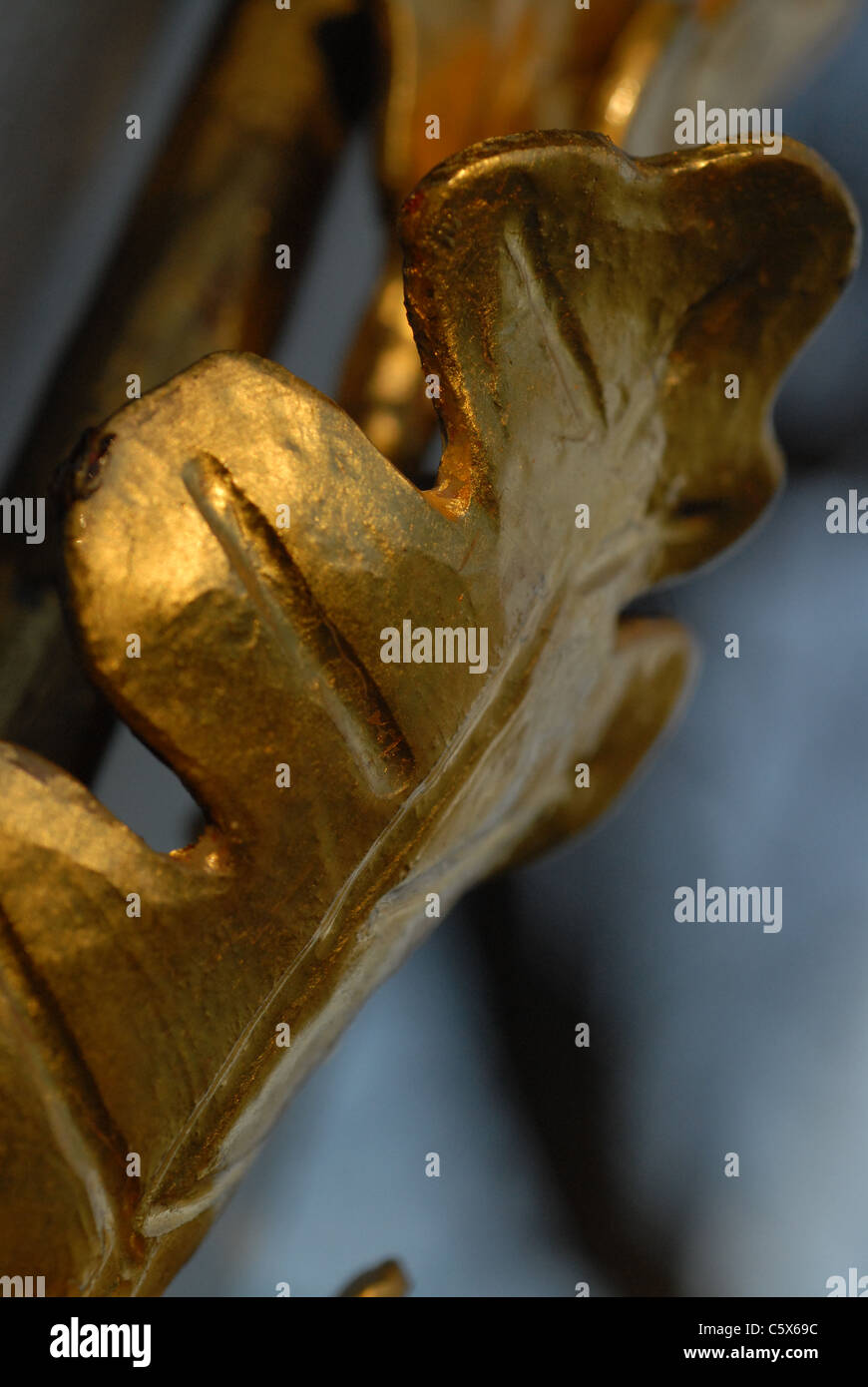 Close-up di rovere dorato a foglia. Foto Stock