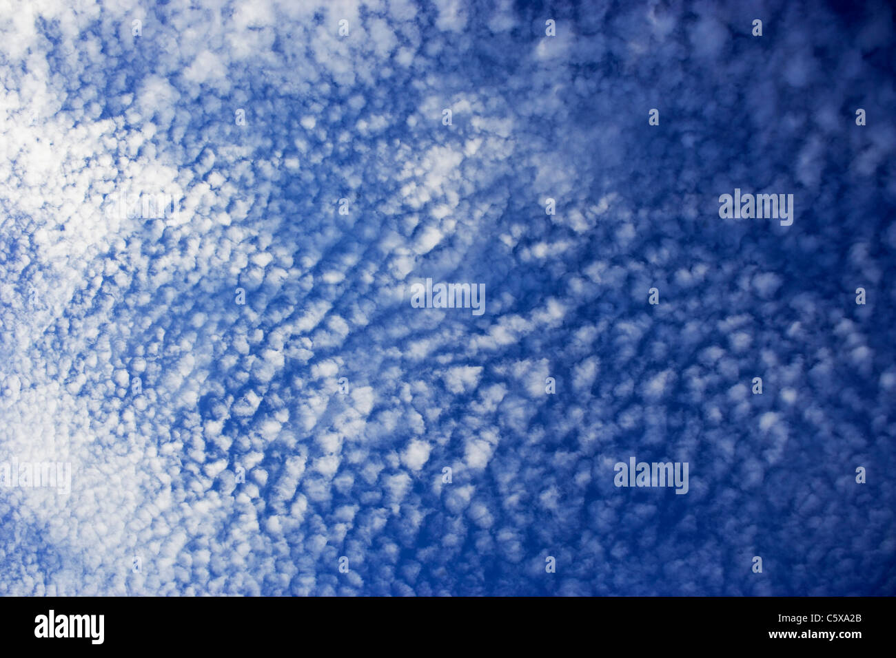 Cirrus nuvole, basso angolo di visione Foto Stock