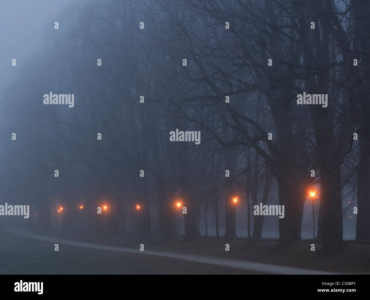 Austria, Salzkammergut, Mondsee, Vicolo con lampade di via nella notte di nebbia Foto Stock
