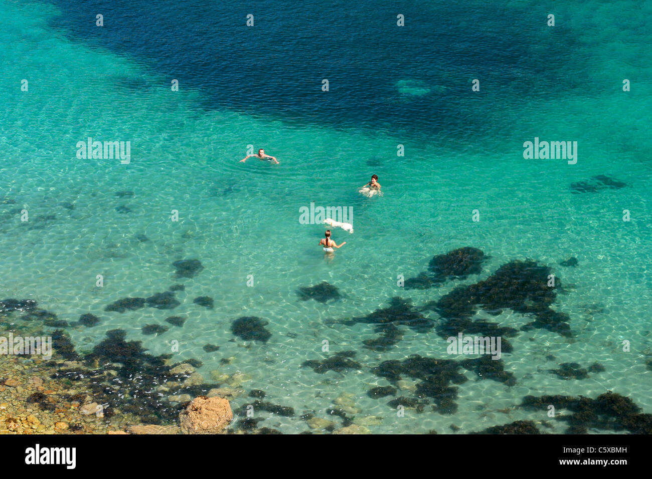 Tre i nuotatori e un cane in un torrente in Bretagna (Baia di Morgat, Crozon penisola (Finisterre, Bretagna, Francia). Foto Stock