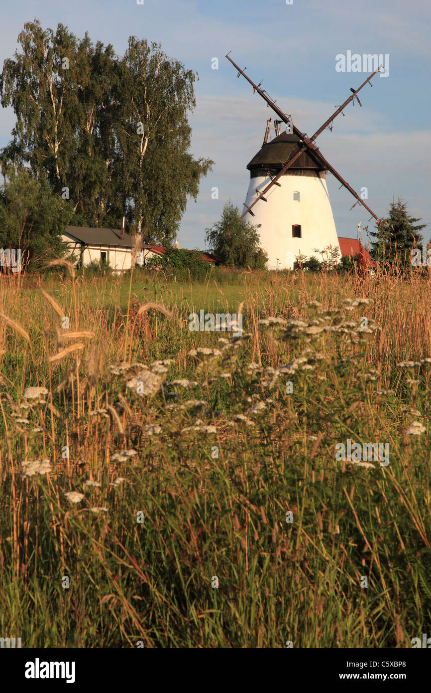 Mulino a vento a Lędzin, West Pomerania, Polonia Foto Stock