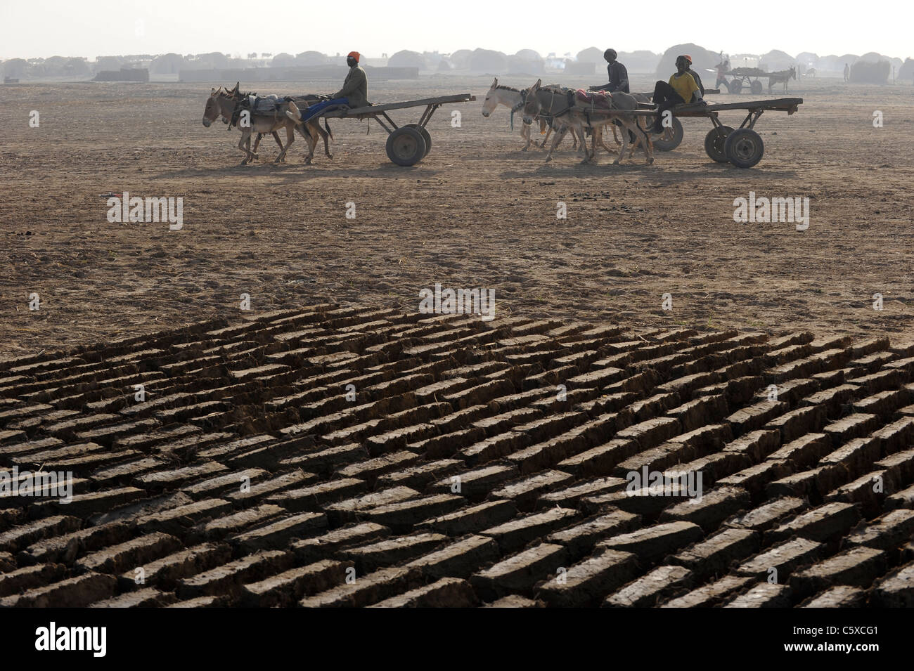 Africa MALI Mopti , architettura di argilla - lavoratore fare mattoni di argilla per la costruzione, il trasporto con carrello di asino Foto Stock