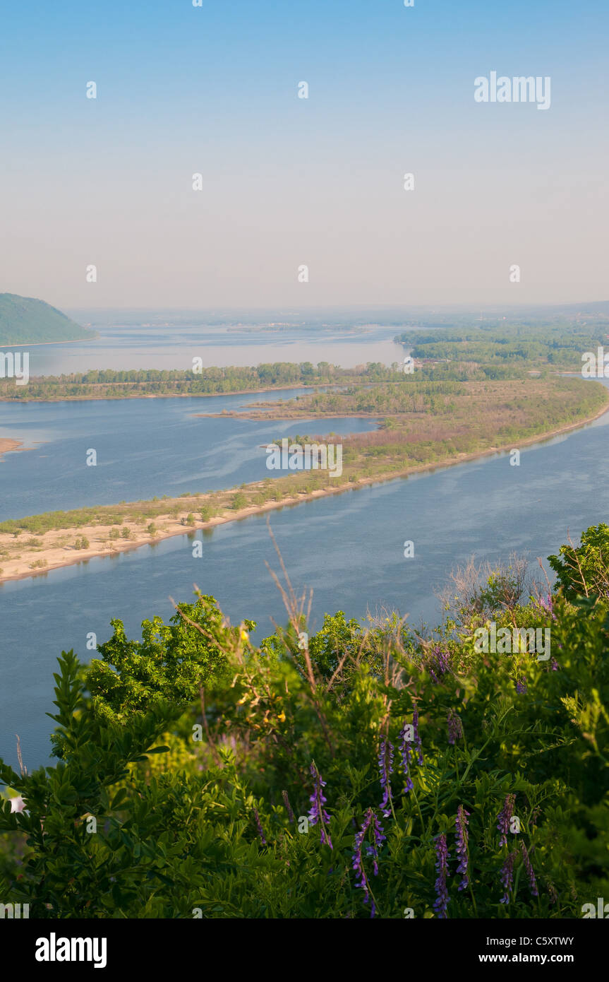 Fiori e cespugli nei pressi del fiume Volga, Zhiguli montagne e Zelenenky isola in Russia Foto Stock