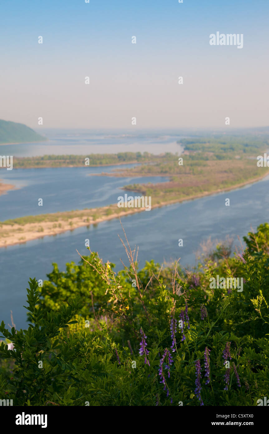 Fiori e cespugli nei pressi del fiume Volga, Zhiguli montagne e Zelenenky isola in Russia Foto Stock