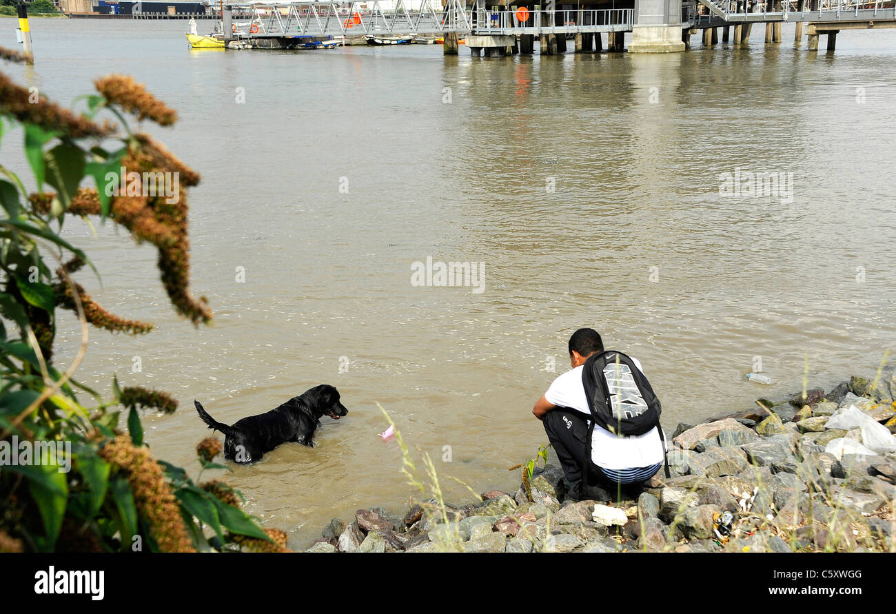 Un uomo e il suo cane on Thames Path riverside, Greenwich, a est di Londra. Foto Stock