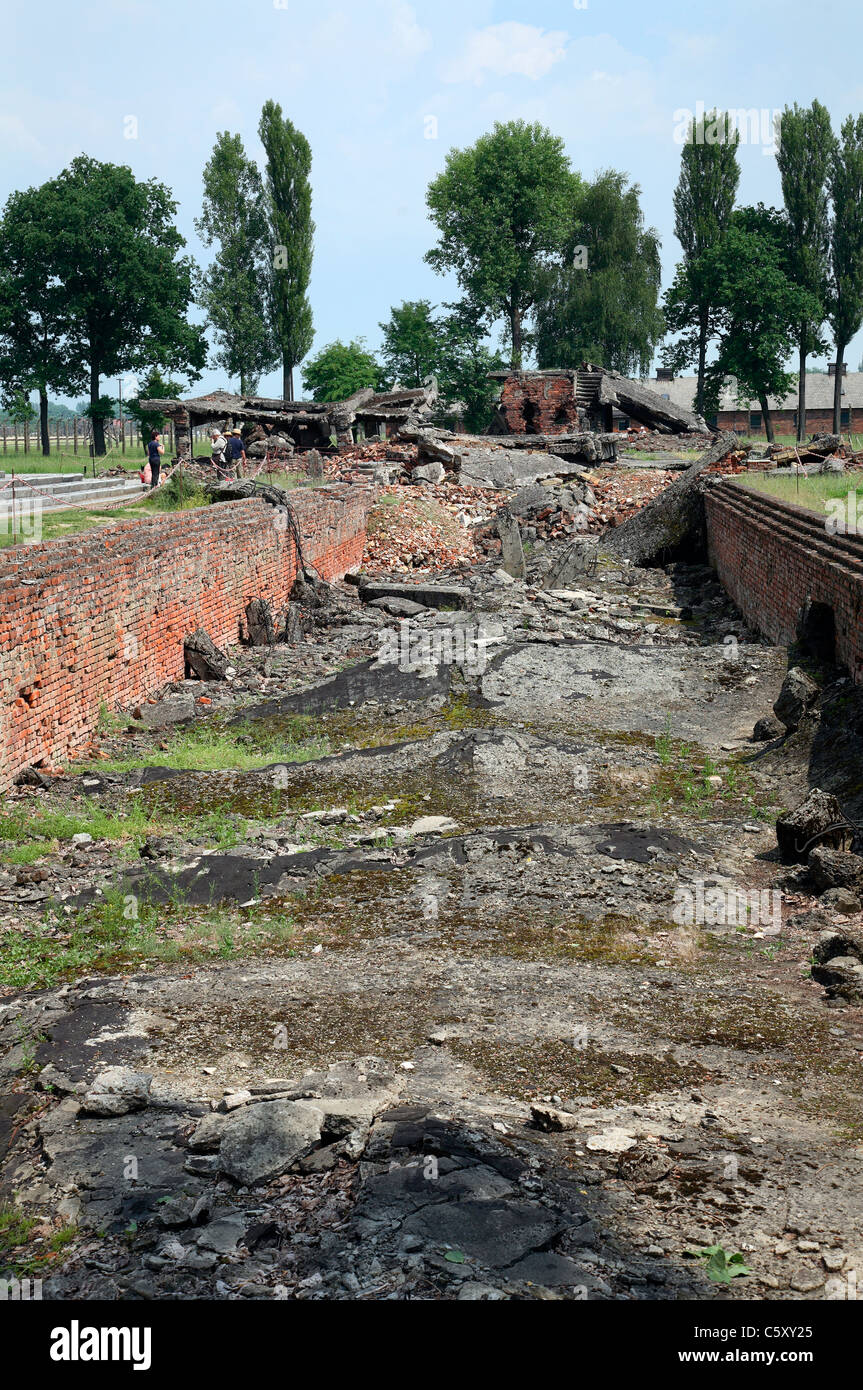 Auschwitz Birkenau la camera a gas e crematorio II Foto Stock