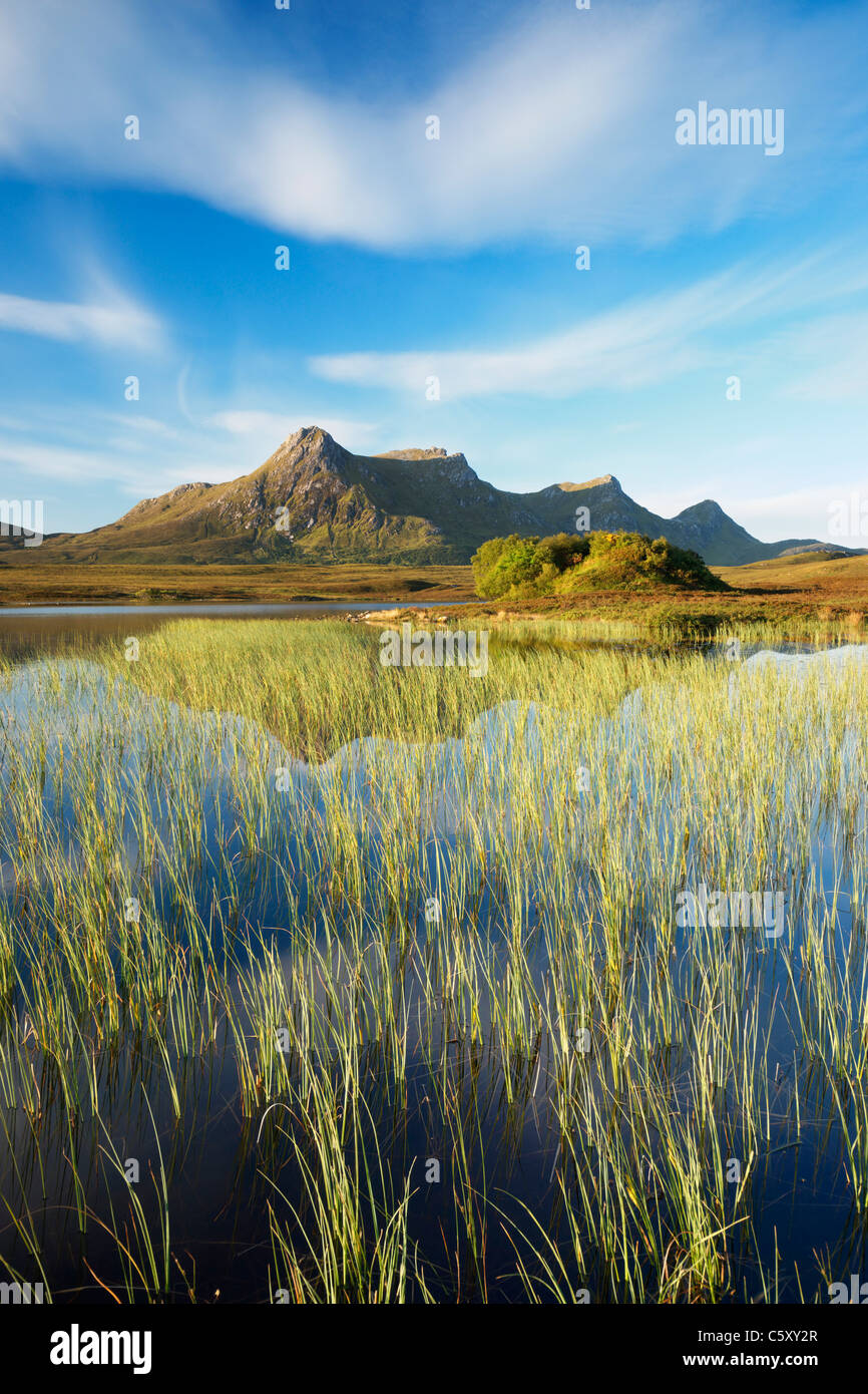 Ben leale e Lochan Hakel, vicino a Tongue, Sutherland, Highland, Scotland, Regno Unito. Foto Stock