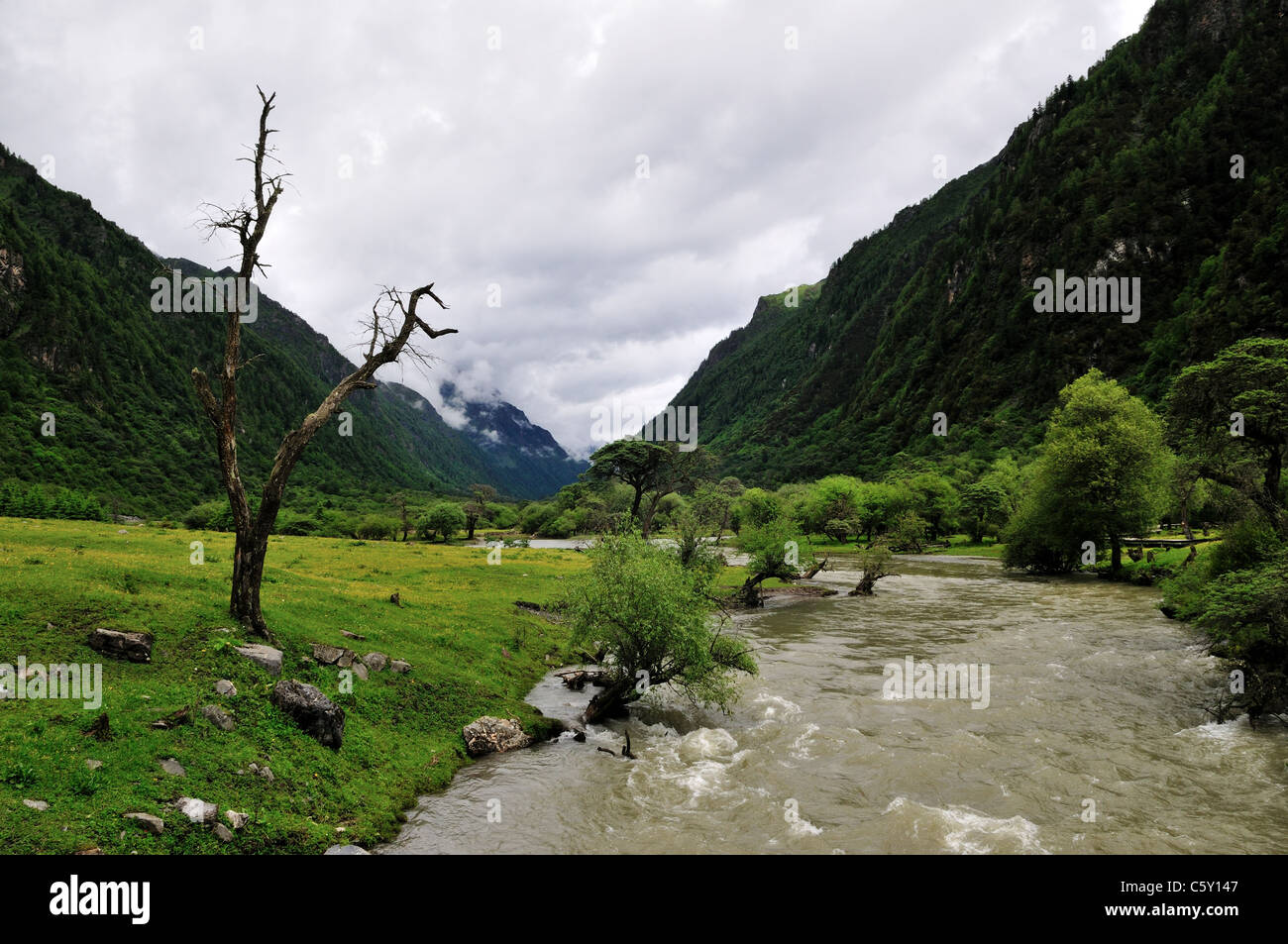 Fiume che scorre in una valle di montagna. Siguniang Shan Riserva Naturale, Sichuan, in Cina. Foto Stock