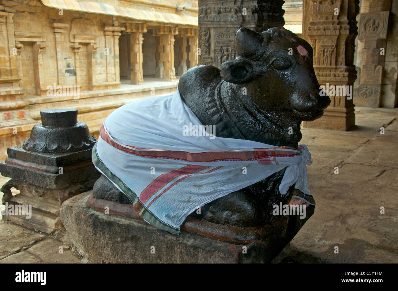 Un piccolo Nandhi nel 100 il pilastro principale Airatesvara Mandapam Tempio Dharasuram Tamil Nadu India del Sud Foto Stock