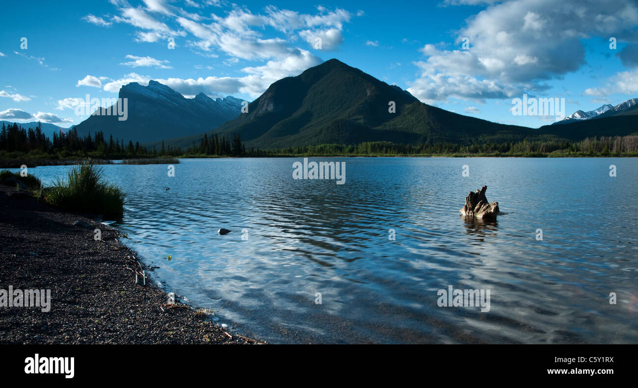 Una vista del paesaggio di Mount Rundle e Montagna di Zolfo si riflette nelle acque dei Laghi Vermillion, nel Parco Nazionale di Banff. Foto Stock