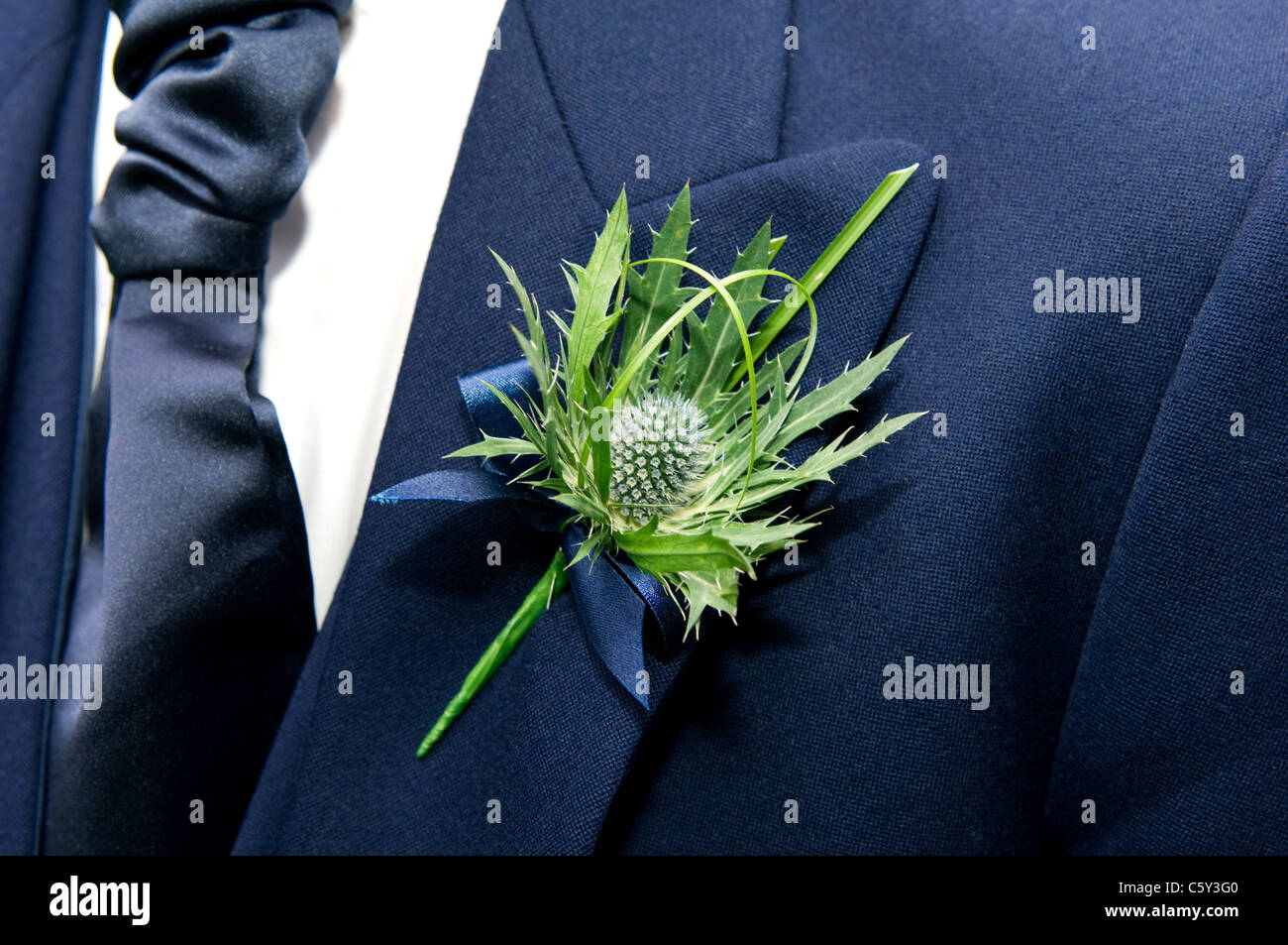 Il Thistle, emblema nazionale della Scozia, indossato come un fiore asola su bavero del mans suit jacket Foto Stock