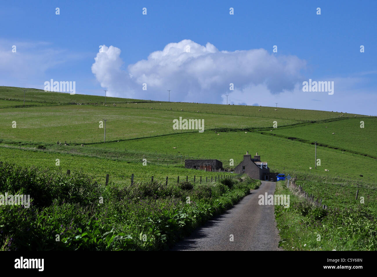 La fattoria e la pastorizia, Isola di Hoy, isole Orcadi, Scozia. Foto Stock