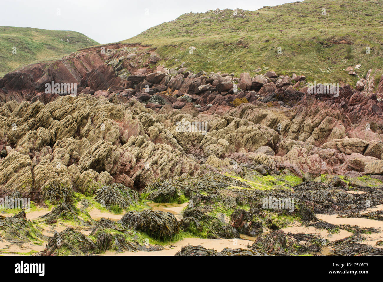 Rocce a Freshwater West Beach in Pembrokeshire, Galles Foto Stock