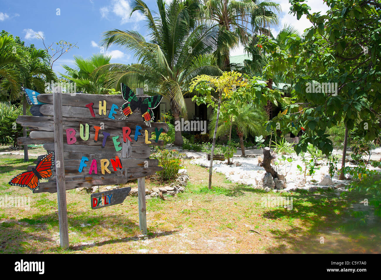 La Butterfly Farm, J. Irausquin Z/N Boulevard, Oranjestad, Aruba Foto Stock