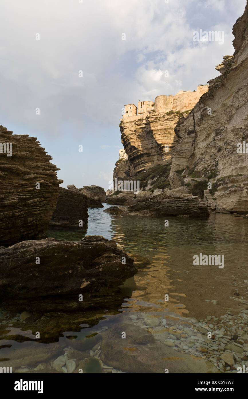 Scogliere e Case di Bonifacio Haute Ville, Corsica, Francia Foto Stock