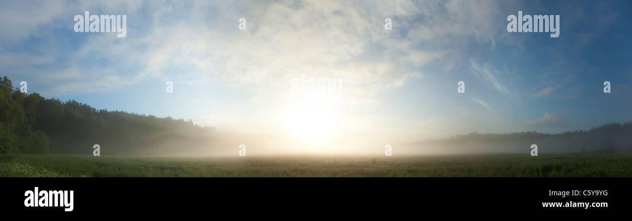 180 gradi panorama di un campo e boschi coperti di fitta nebbia al tramonto, il sole sta sorgendo dietro le nuvole Foto Stock