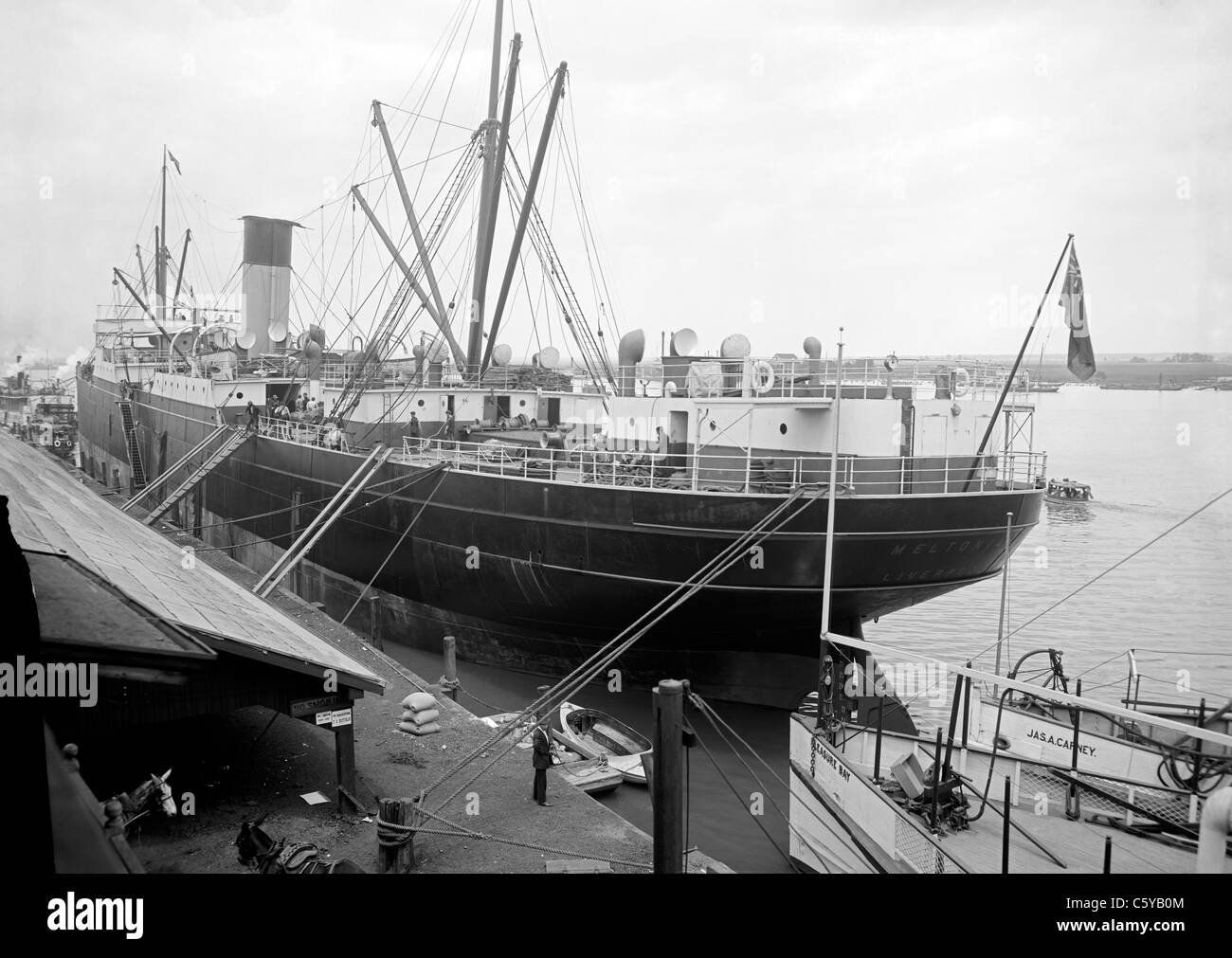 Caricamento di cotone per Liverpool, UK in America del sud, circa 1910 Foto Stock