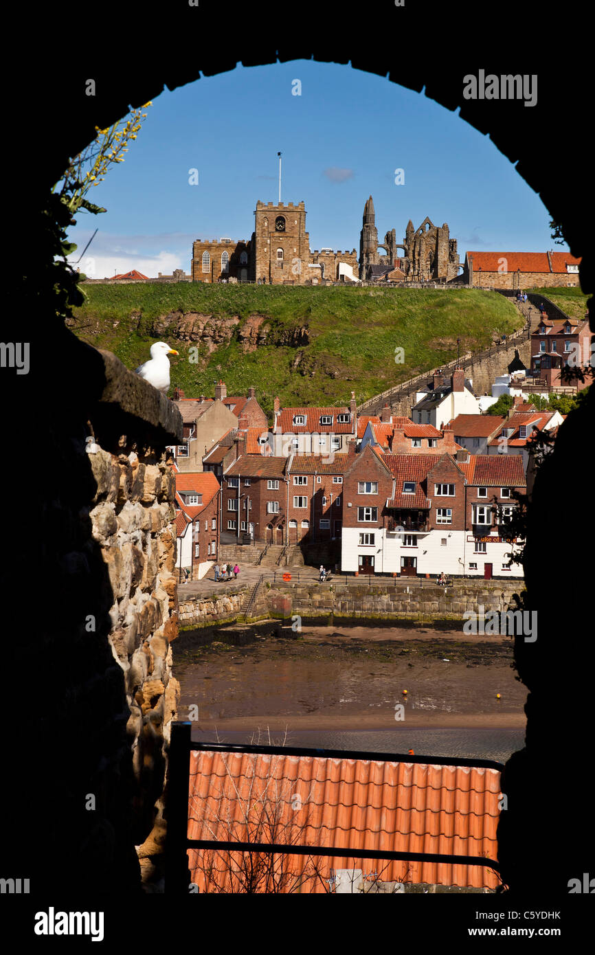 Whitby Città vecchia da West Cliff, North Yorkshire Foto Stock