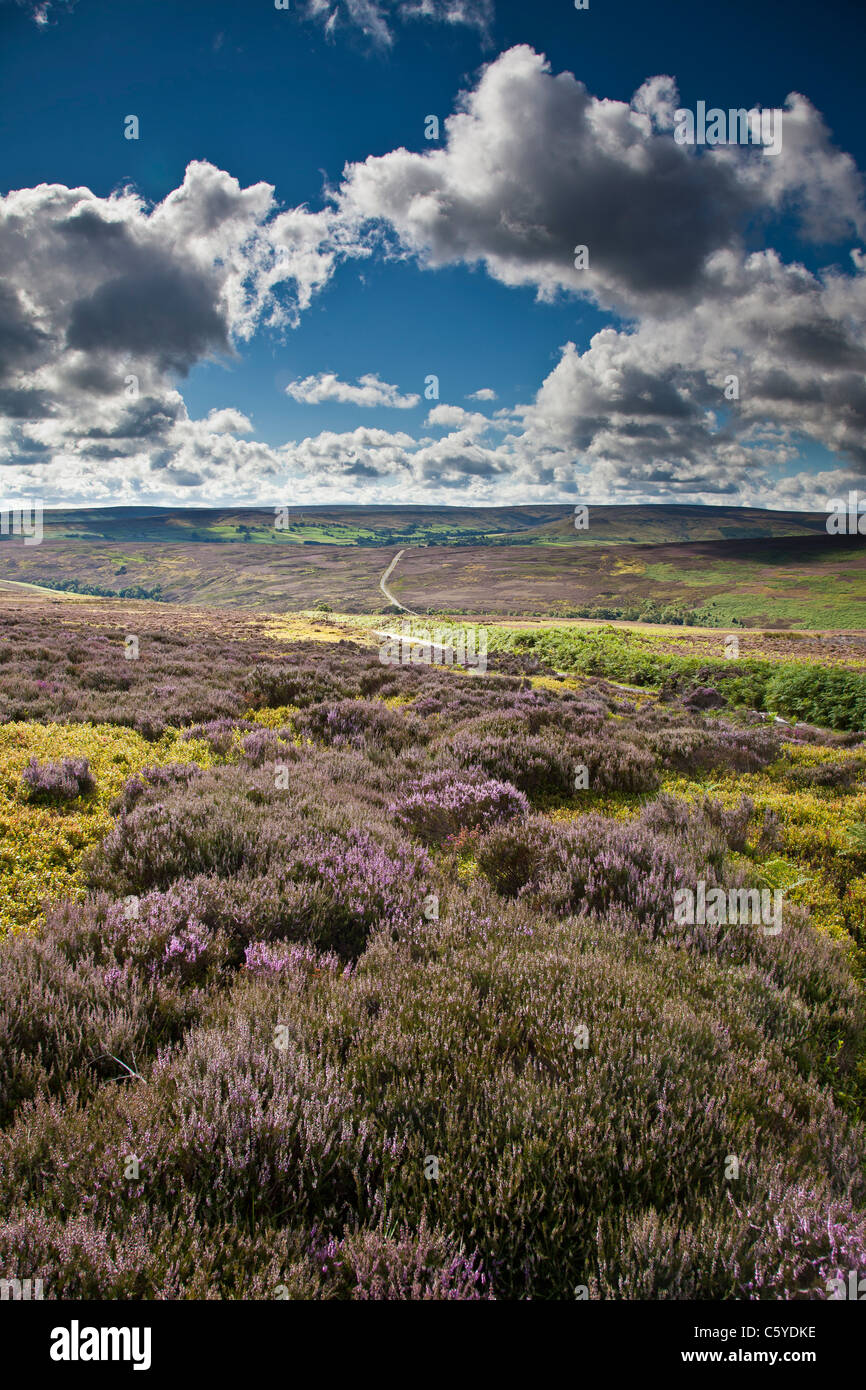 Baysdale da Kildale Moor con heather in Bloom, North Yorkshire Moors National Park Foto Stock