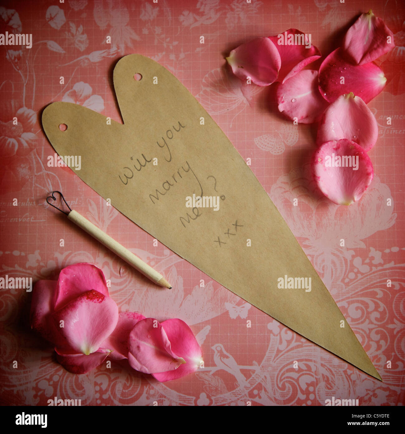 Un amore nota contenente una proposta di matrimonio "Ti sposerà me?' Circondato da rosa petali di rosa su sfondo rosa Foto Stock