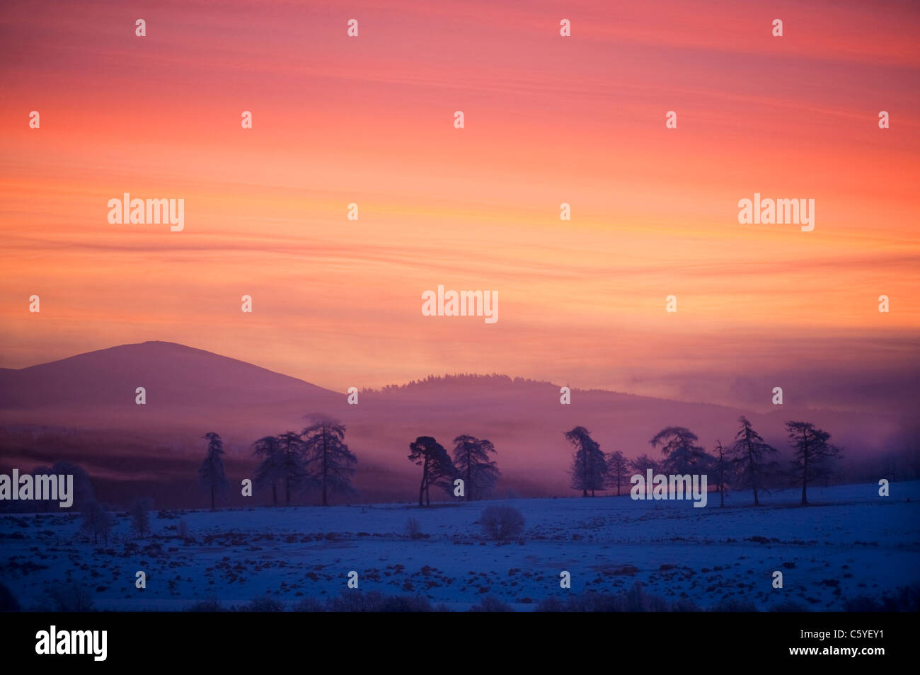 Alba sulle colline Cromdale su inverni di mattina. Cairngorms National Park, Scozia, Gran Bretagna. Foto Stock