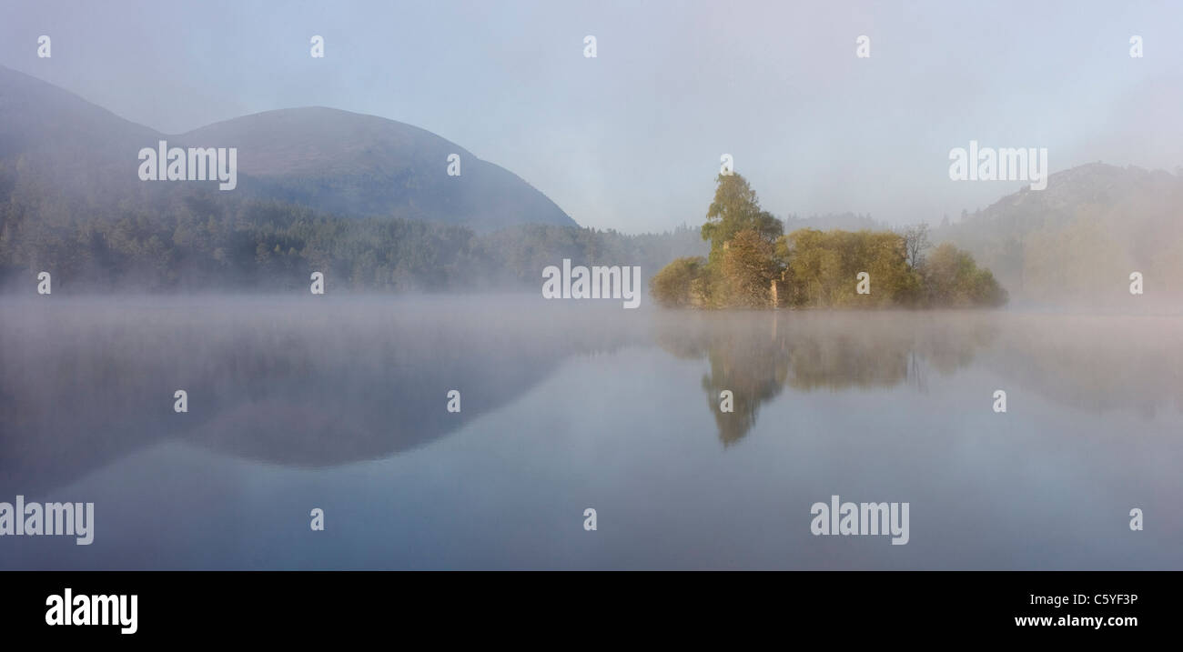 Loch un Eilein su foschia mattutina, Rothiemurchus foresta, Cairngorms National Park, Scozia, Gran Bretagna. Foto Stock