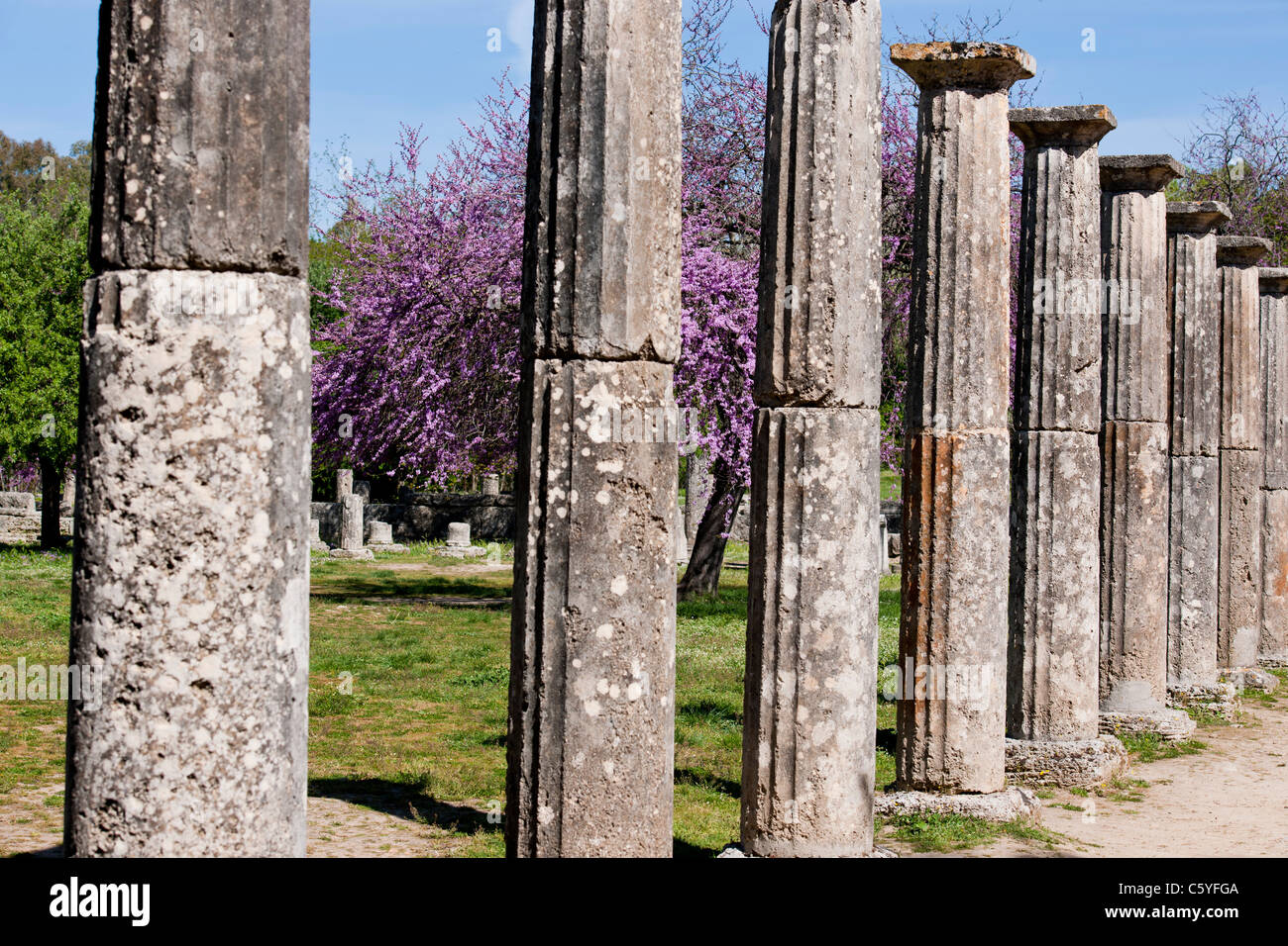 Olimpia antica,casa in Grecia i giochi 776 BC,sito archeologico e museo,palestra,Palaestra,Wrestling scuola,Katakolon,Grecia Foto Stock