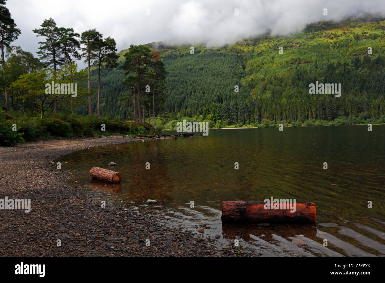 Loch Eck in Argyll Forest Park in Scozia, Regno Unito. Foto Stock