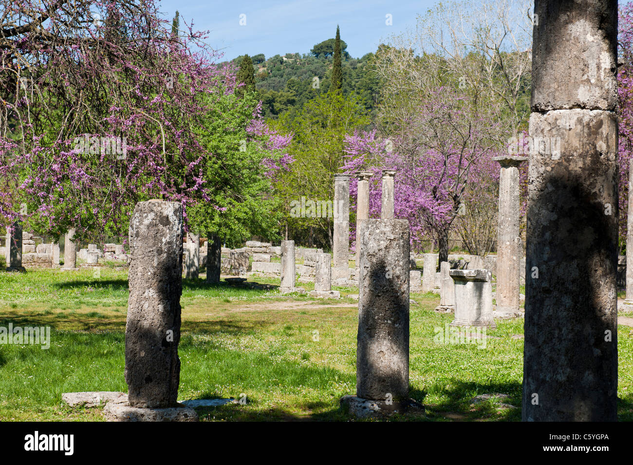 Olimpia antica,casa in Grecia i giochi 776 BC,sito archeologico e museo,palestra,Palaestra,Wrestling scuola,Katakolon,Grecia Foto Stock