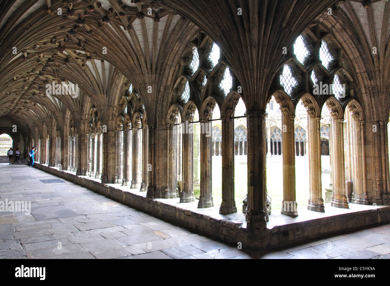 Chiostro Grande, Cattedrale di Canterbury, Canterbury, città di Canterbury, nel Kent, England, Regno Unito Foto Stock