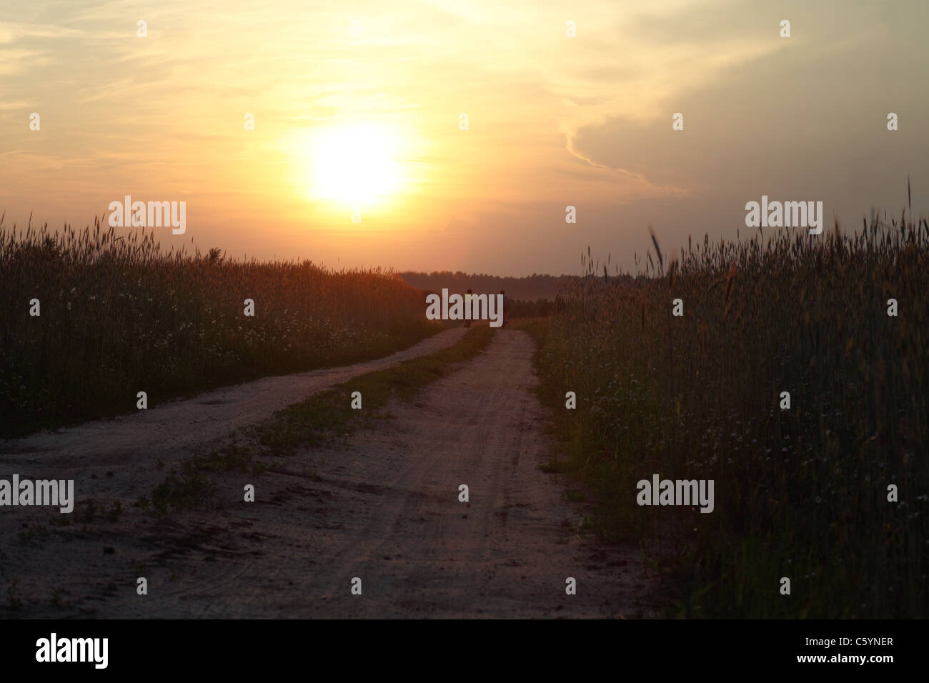 Tramonto - due bicicletta equitazione in un campo Foto Stock