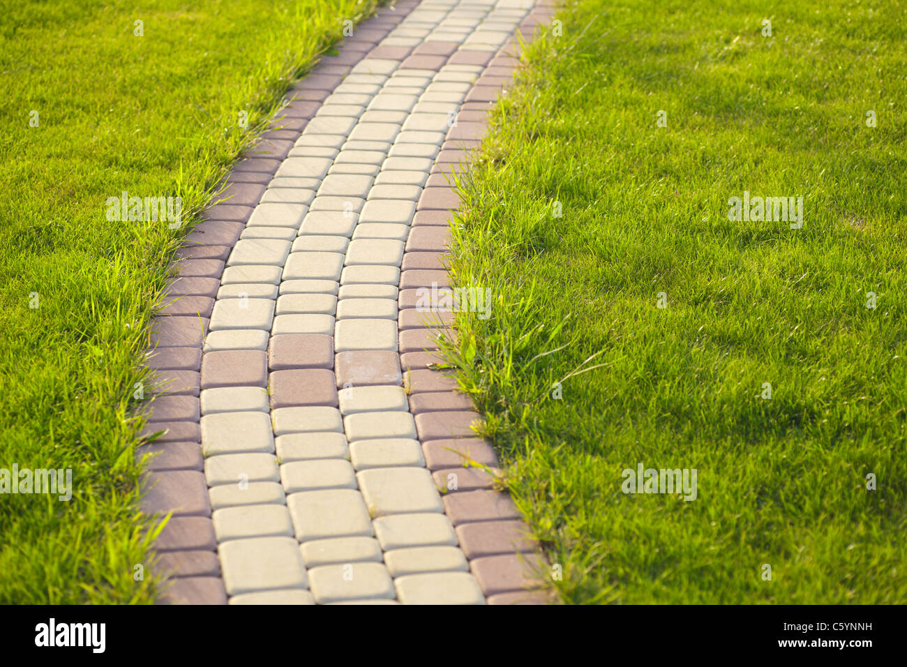 Giardino percorso in pietra con erba cresce tra e attorno alle pietre, mattoni marciapiede Foto Stock