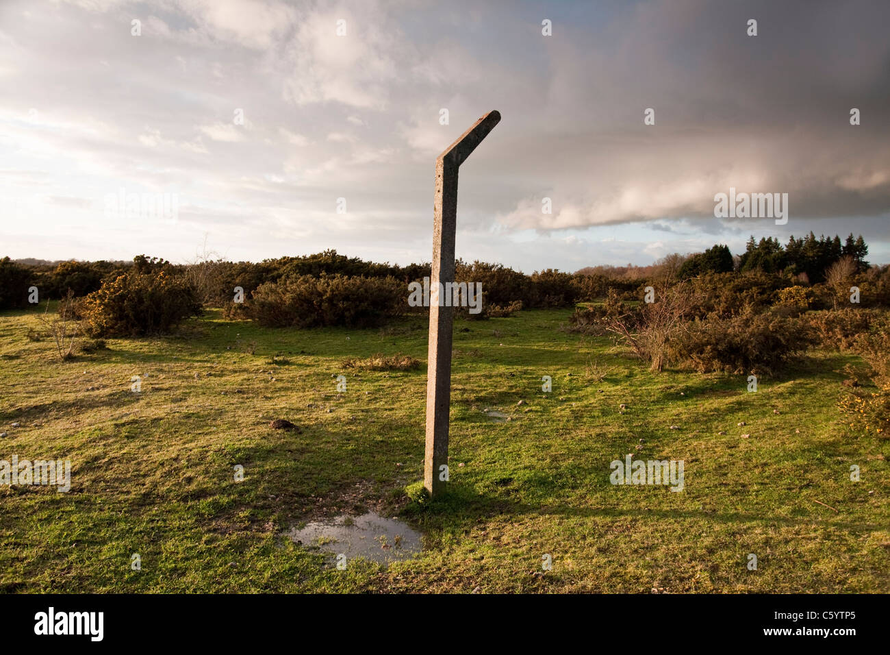 Greenham Common, West Bershire Foto Stock