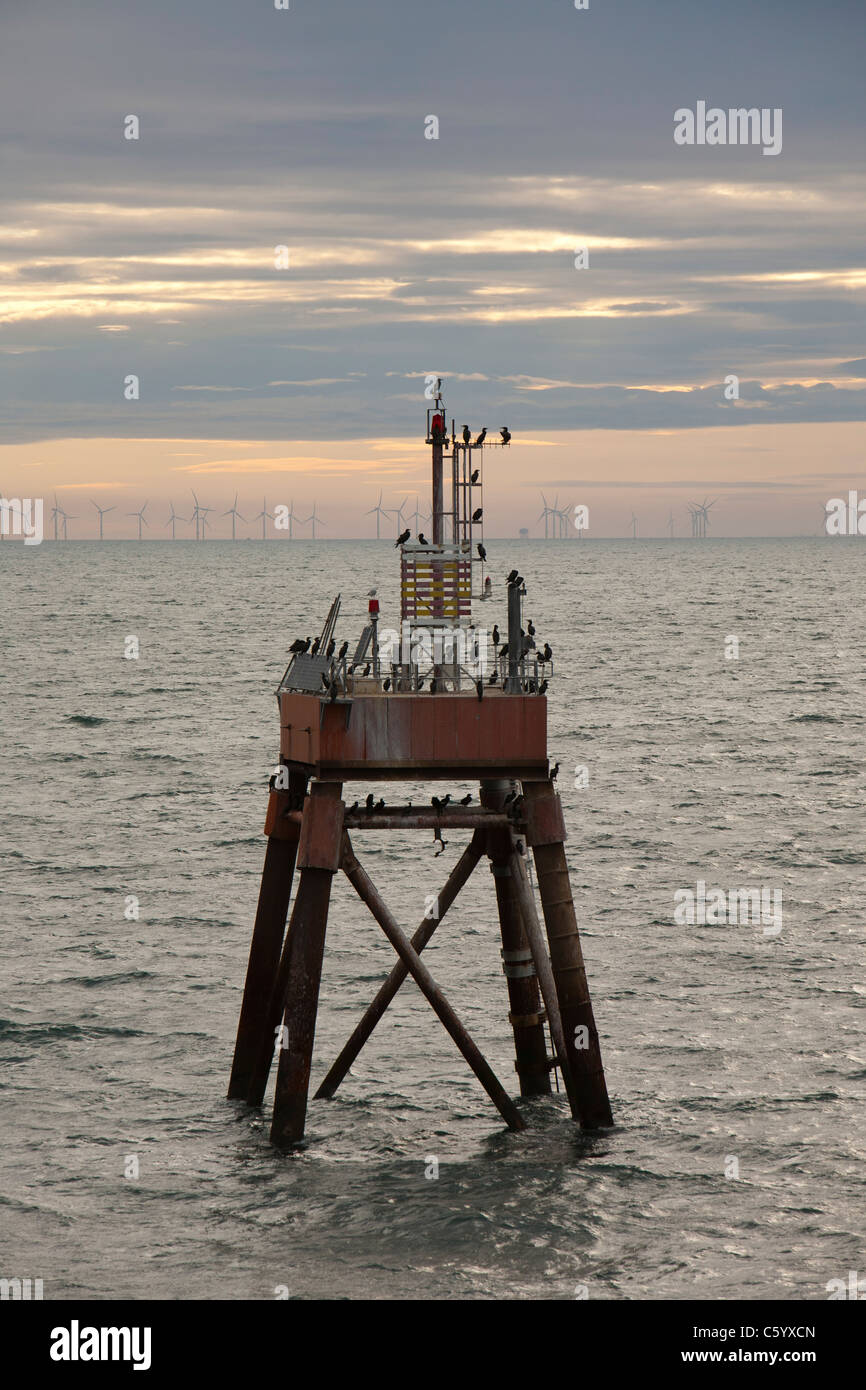 Il cormorano su un marcatore di canale guardando verso il Walney offshore wind farm. Foto Stock