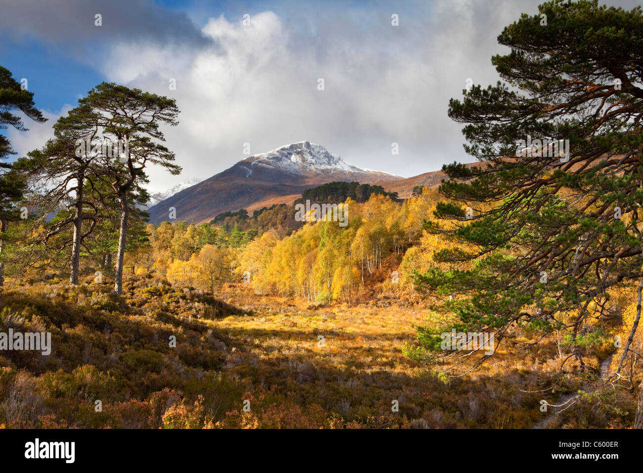 Sgurr na Lapaich e colori autunnali di Glen Affric, Scotland, Regno Unito. Visto dal fiume Affric Trail mantenuta dalla Commissione forestale Scozia Scotland Foto Stock