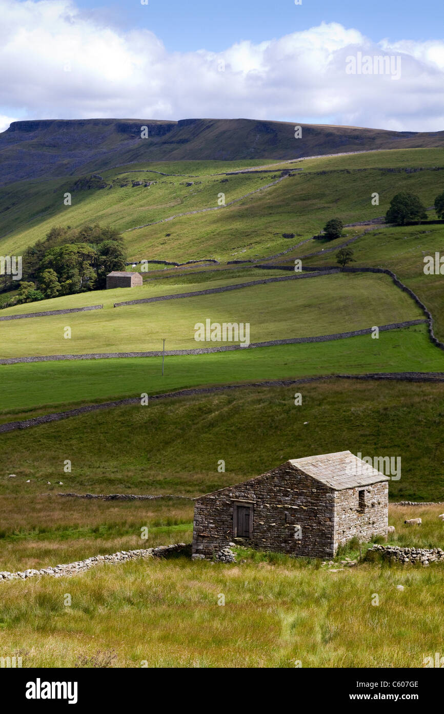 Bordo Mallerstang Due Cumbria pietra fattoria i fienili e i terreni agricoli a Ais Gill Cumbria, Regno Unito Foto Stock