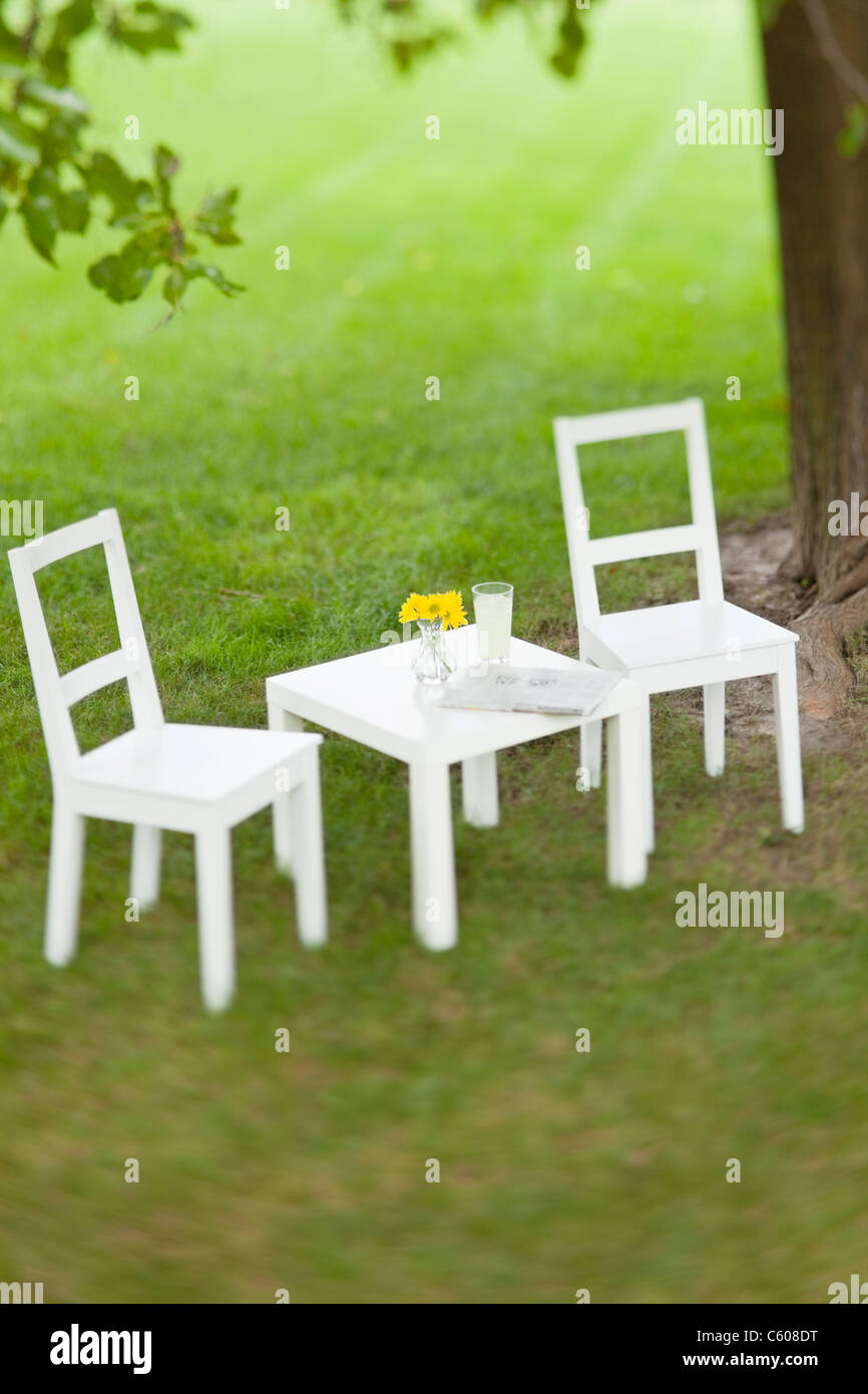 Stati Uniti d'America, Illinois, Metamora, bianco con tavolo e sedie e fiori di colore giallo Foto Stock