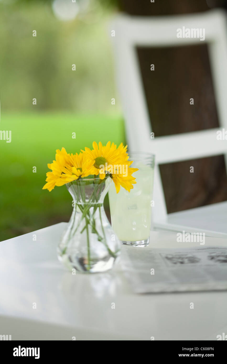 Stati Uniti d'America, Illinois, Metamora, giallo dei fiori in vaso e giornale sul tavolo Foto Stock