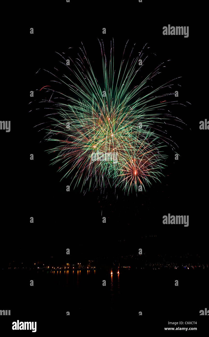 Fuochi d'artificio nel cielo notturno Foto Stock