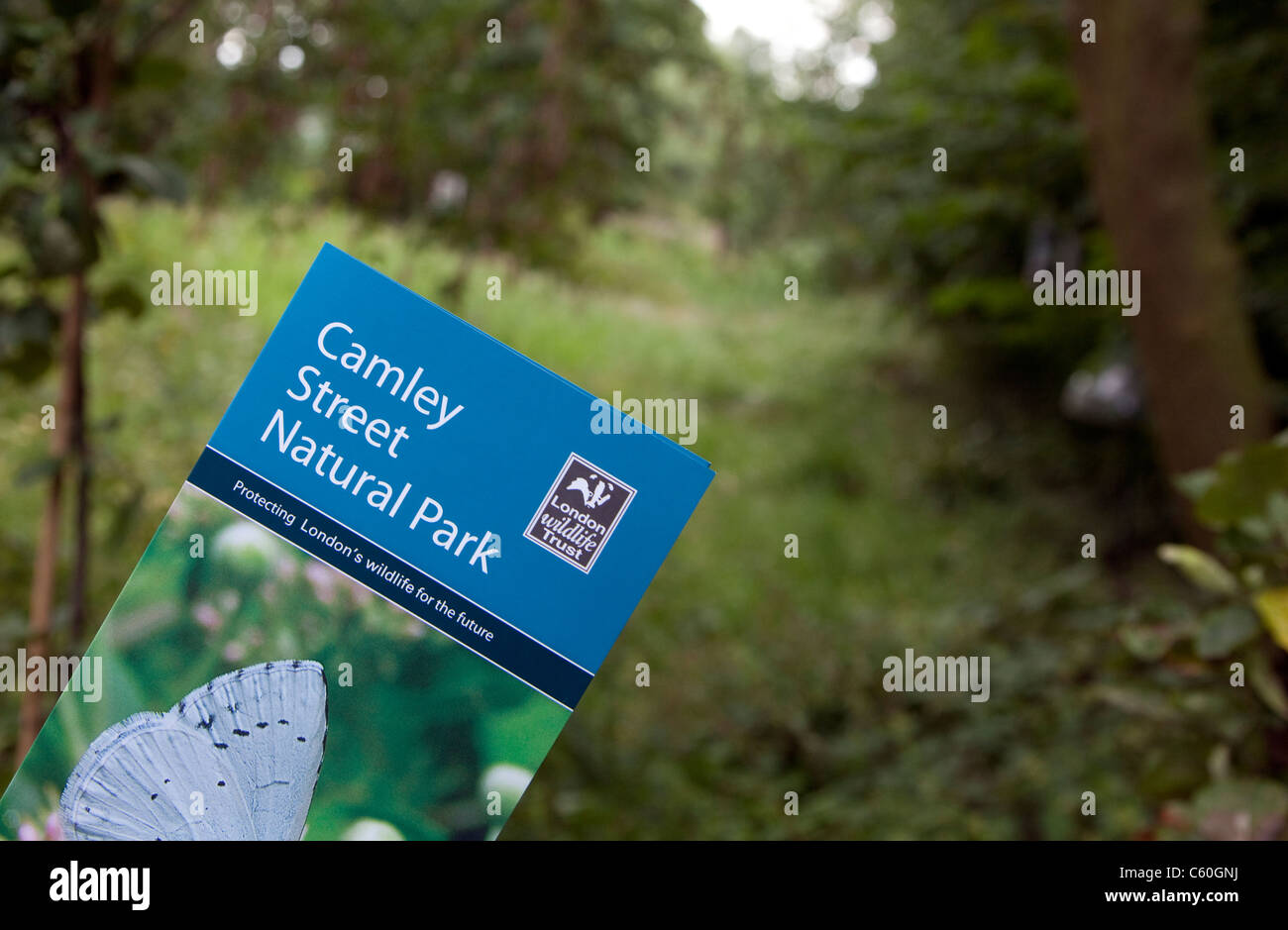 Camley Street parco naturale, Kings Cross, London Foto Stock