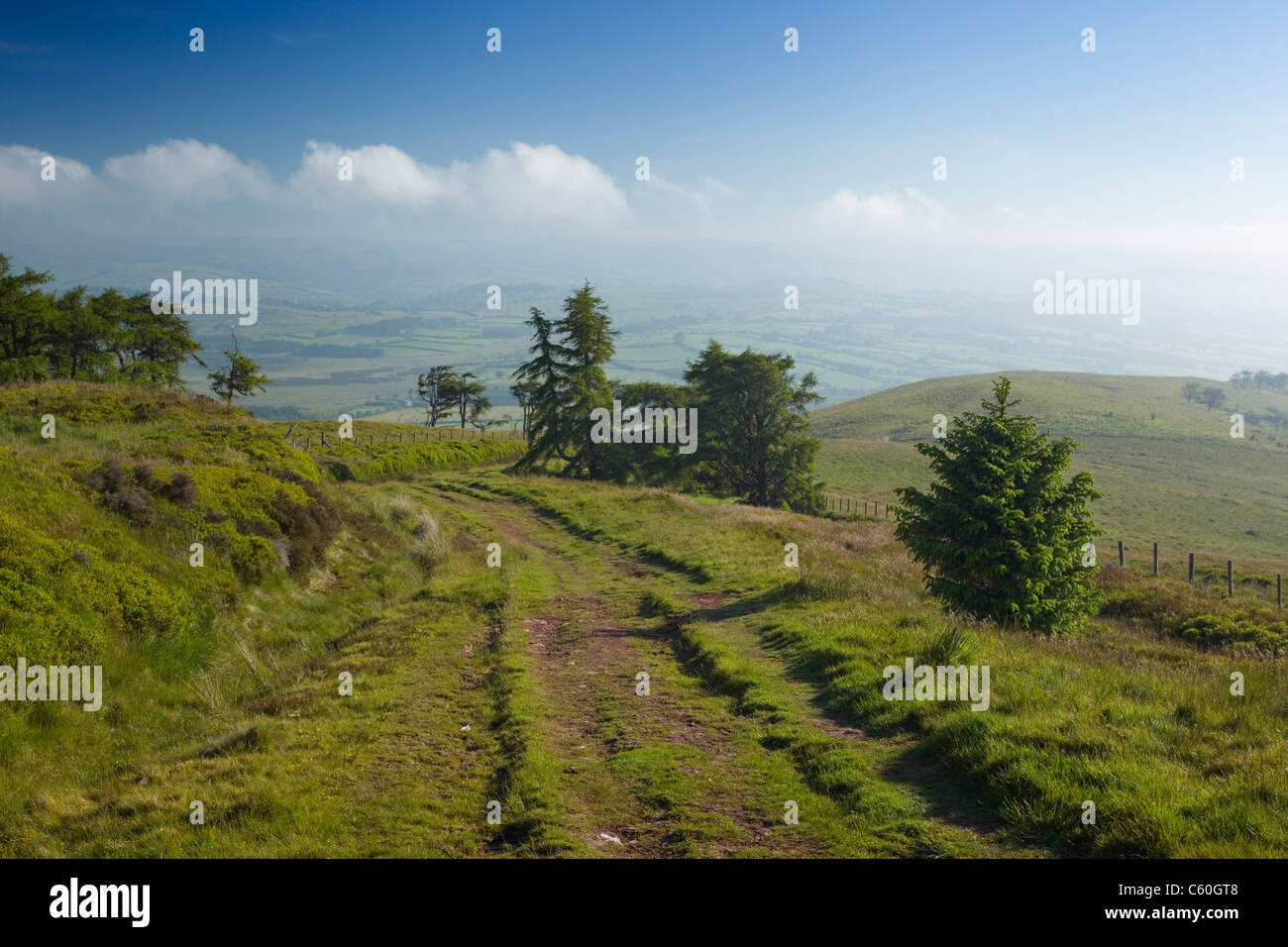 Via decsending dalla ventola Frynych. Craig Cerrig-gleisiad Riserva Naturale Nazionale. Brecon Beacons. La contea di Powys. Il Galles. Regno Unito. Foto Stock