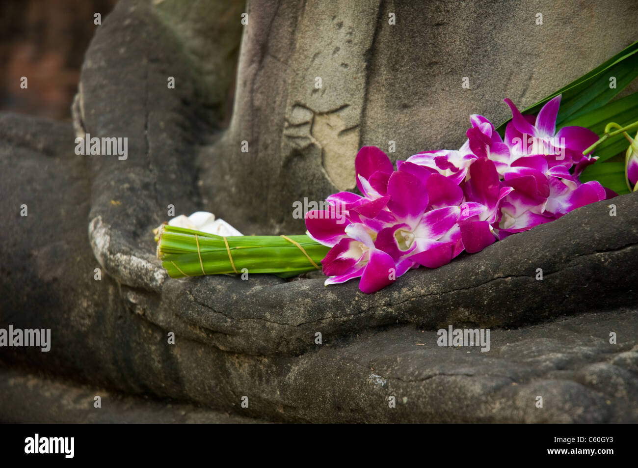 Budda seduto in posizione di meditazione, con freschi Fiori di orchidea in mano. Foto Stock