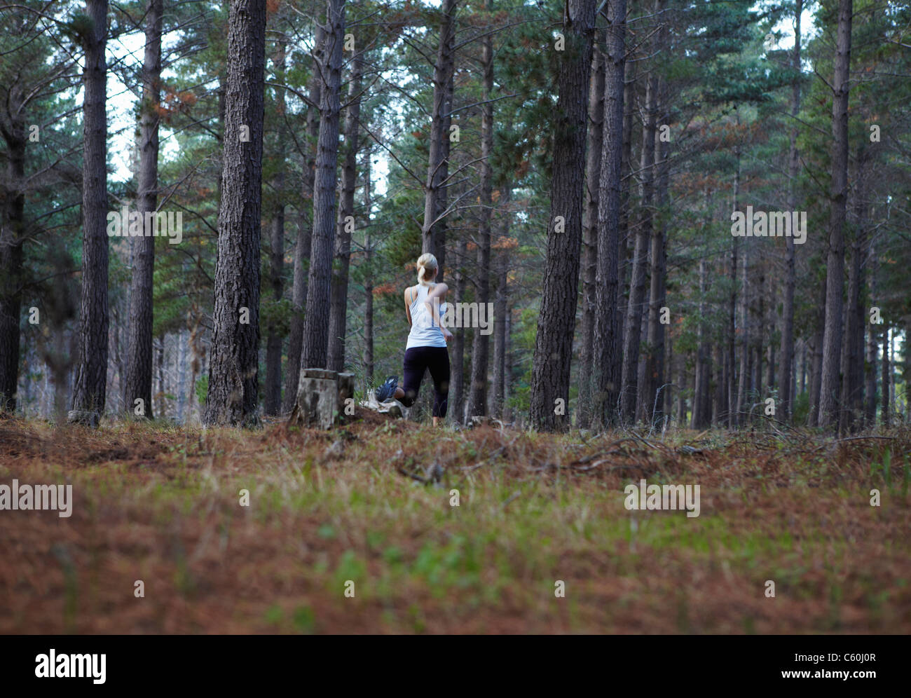 La donna in esecuzione nella foresta Foto Stock