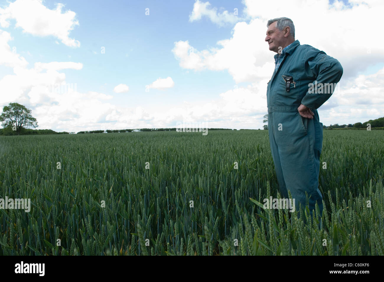 Agricoltore in piedi nel campo di grano Foto Stock