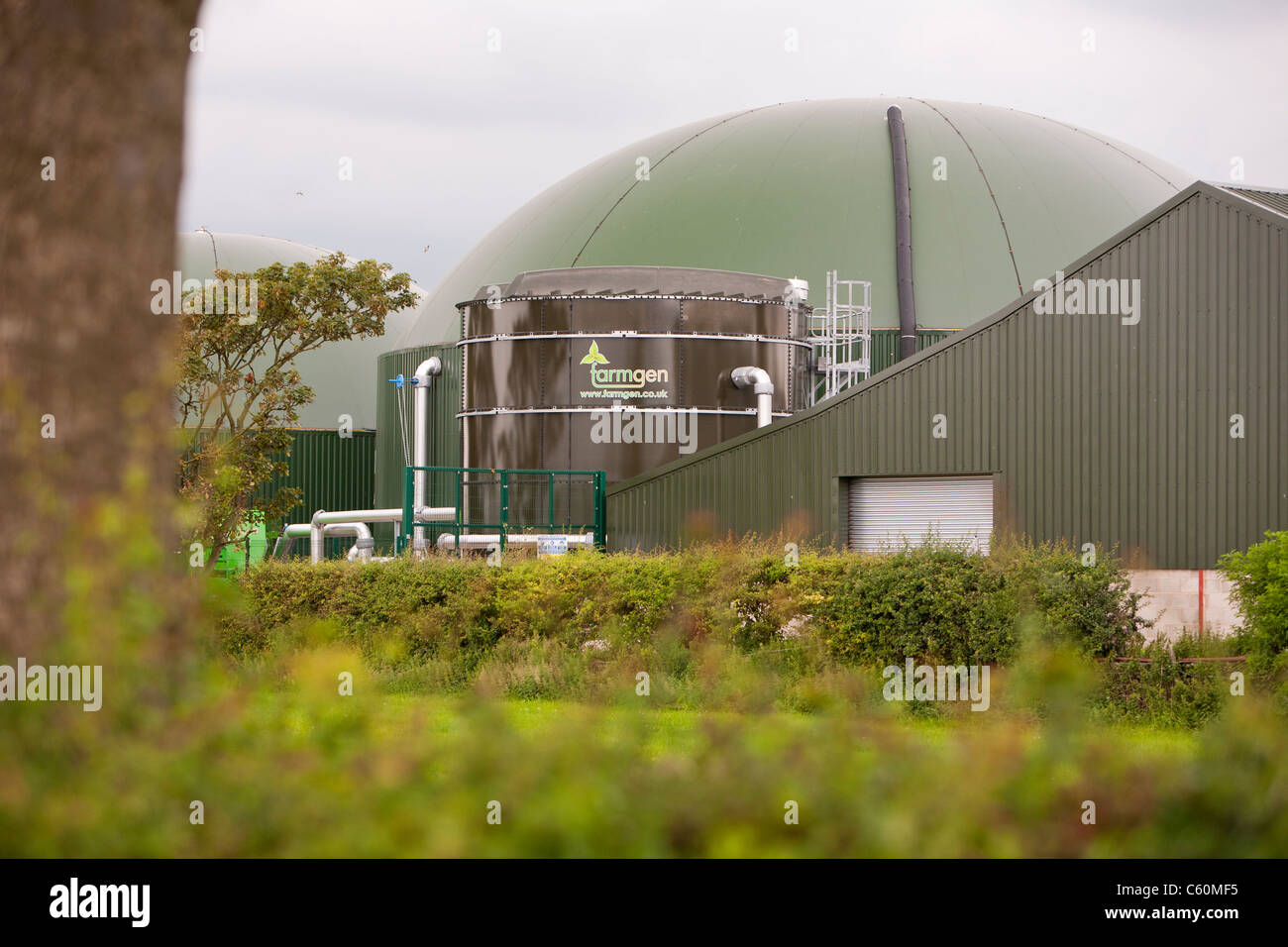 Un farmgen bio-digestivo che producono energia elettrica da bio-metano nei pressi di Warton, Lancashire, Regno Unito. Foto Stock