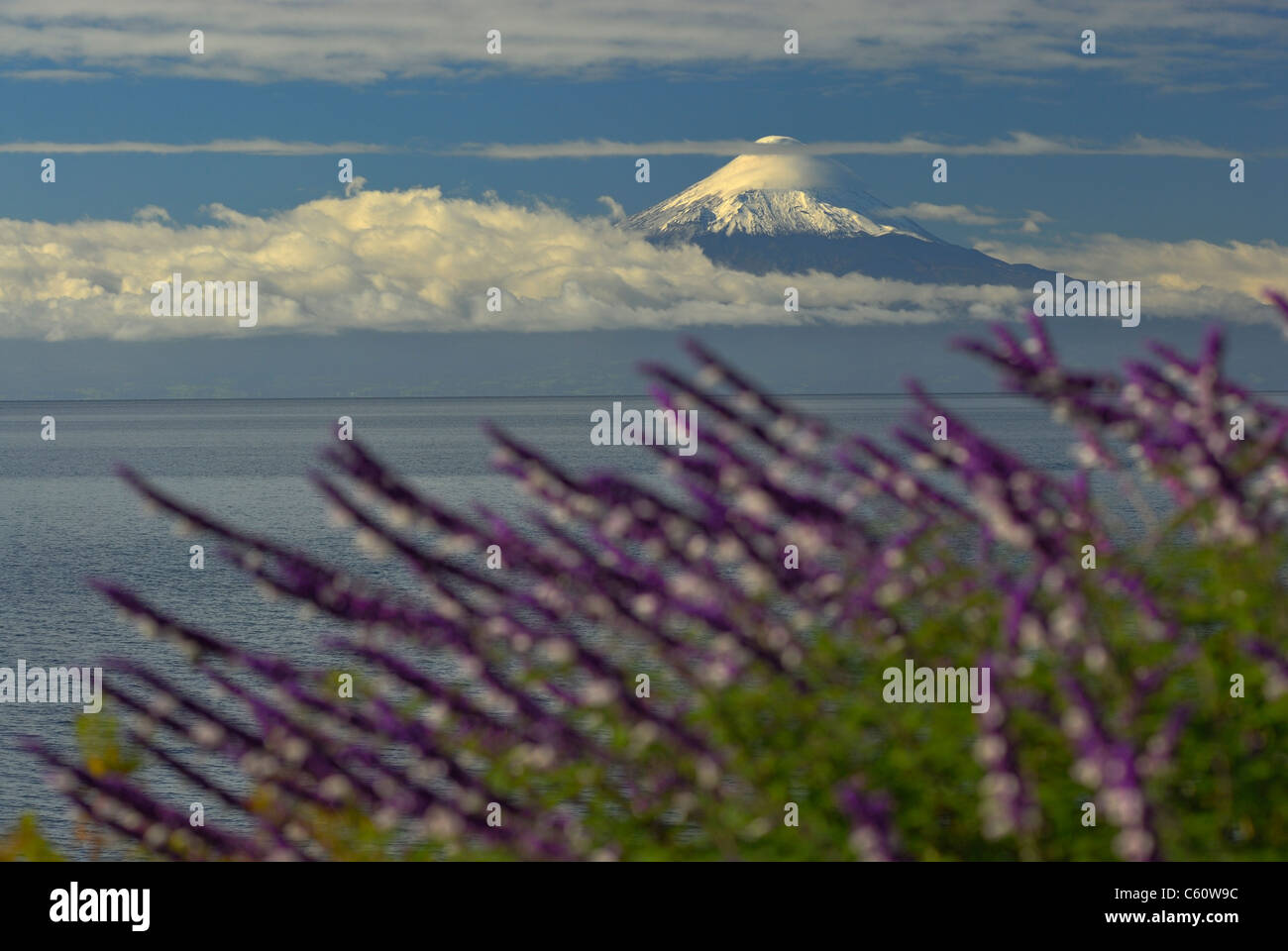 Vulcano Osorno e del Lago Llanquihue vista da Frutillar nella regione X de los Lagos, Cile Foto Stock